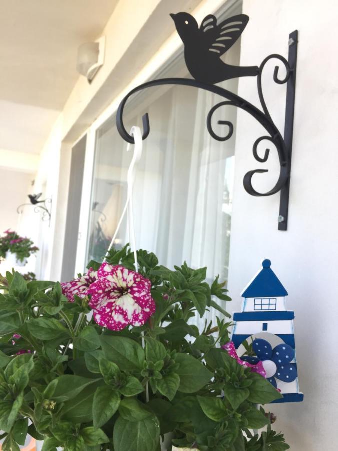 Villa Steffi ゴールデンサンド エクステリア 写真